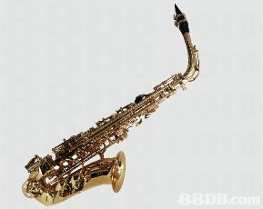 我們專為學(xué)校提供各類中西優(yōu)貿(mào)的入門樂器 樂器配件及用品,并以直銷價(jià)發(fā)售,多年來深受全港多間學(xué)校歡迎并支持使用,信心保證